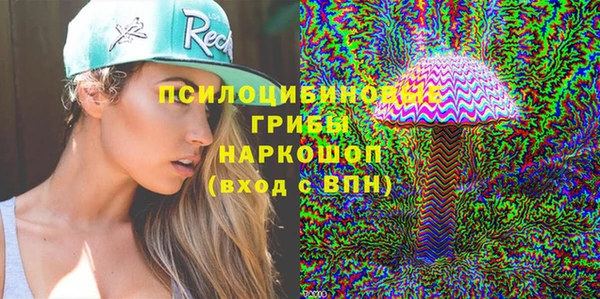 mdpv Кодинск