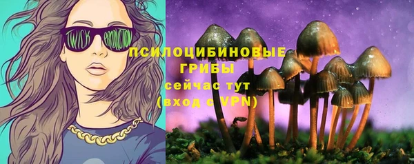 apvp Алексин