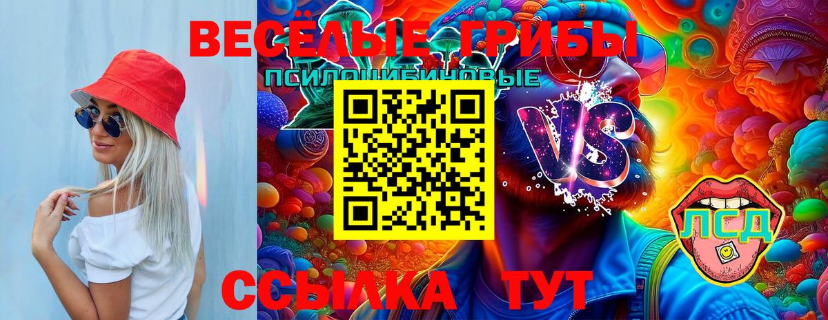 Галлюциногенные грибы мицелий Нововоронеж