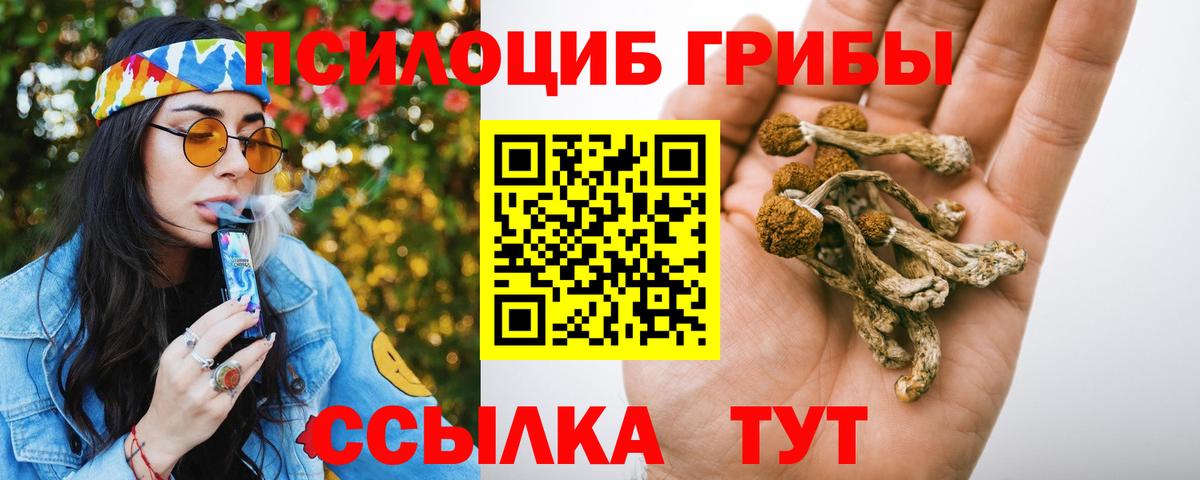 Галлюциногенные грибы ЛСД  Галлюциногенные грибы прущие грибы  Нововоронеж  Вход с VPN 